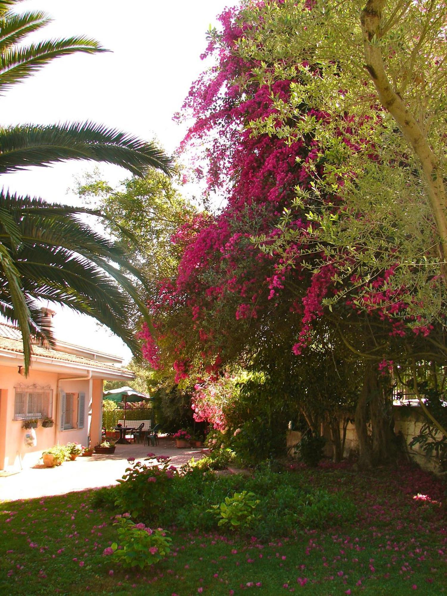 ساساري Parco Delle Valli المظهر الخارجي الصورة