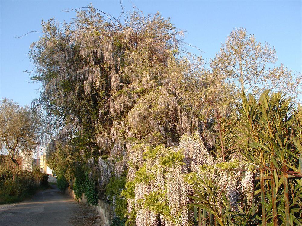 ساساري Parco Delle Valli المظهر الخارجي الصورة