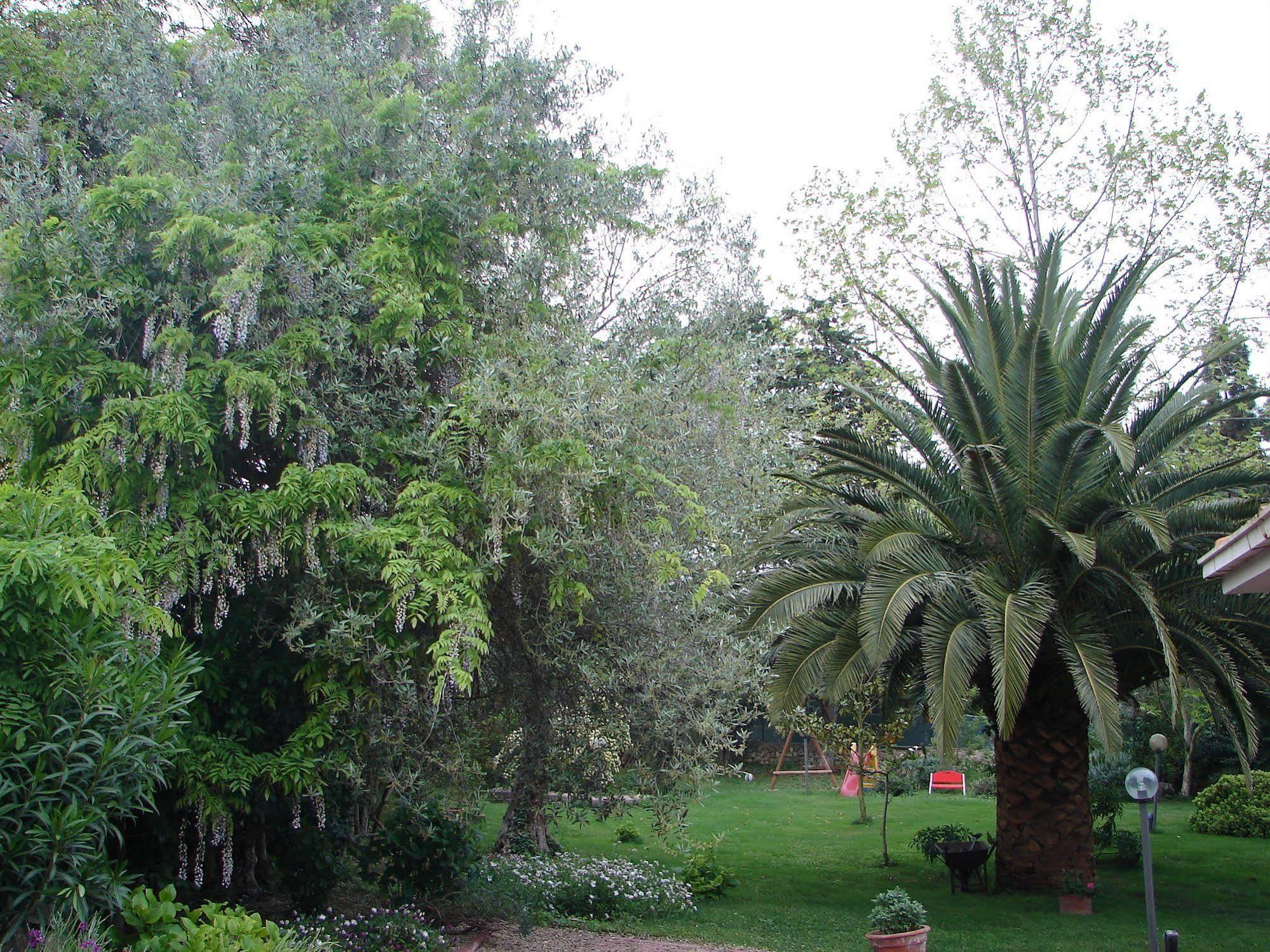 ساساري Parco Delle Valli المظهر الخارجي الصورة